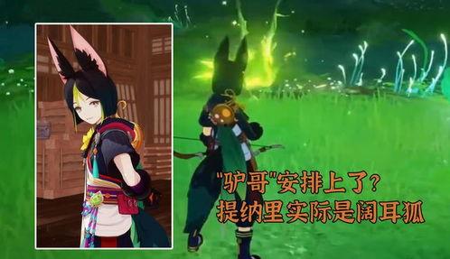 提纳里爆料视频,独家内幕大公开