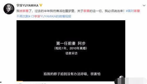 胡某宇语音爆料视频大全,揭秘事件背后真相