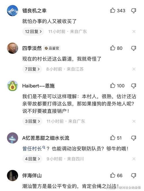 动物博主爆料视频大全最新,揭秘萌宠界的趣味瞬间
