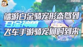 飞车最新爆料骑宠,揭秘骑宠进化，畅享速度与激情的全新篇章