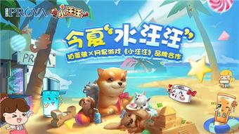 小汪汪吃瓜娱乐说,揭秘娱乐圈幕后故事