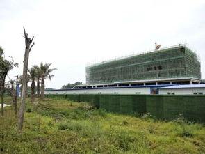 老河口最新爆料,揭秘神秘事件背后的真相