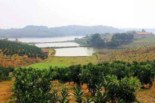 广州农庄爆料案件最新,揭开背后惊人真相