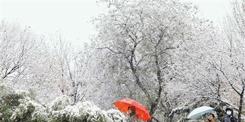 西安爆料大雪视频大全,视频大全捕捉冬日美景瞬间”