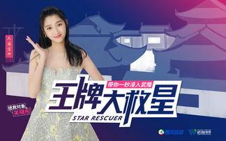 杨晓薇爆料视频大全集,揭秘背后真相与情感纠葛