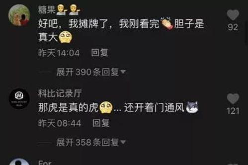 厦门事件爆料视频最新版,真相与争议再引热议
