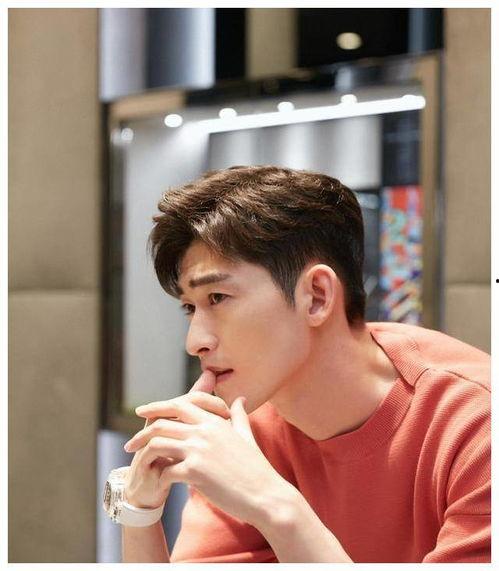 娱乐吃瓜张翰,娱乐圈的瓜田,他如何成为吃瓜群众的焦点?